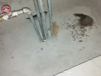 隆尧卫生间测漏水价格明细